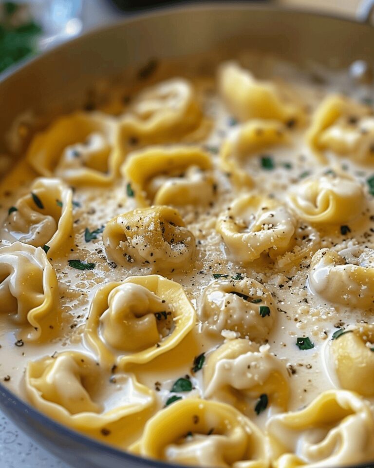 Creamy Cheese Tortellini Recipe