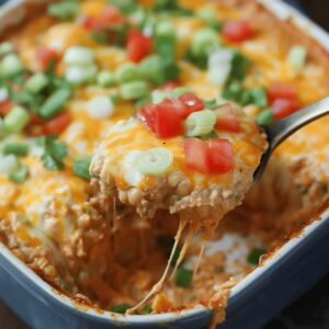 Cheesy Bean Fiesta Dip Recipe