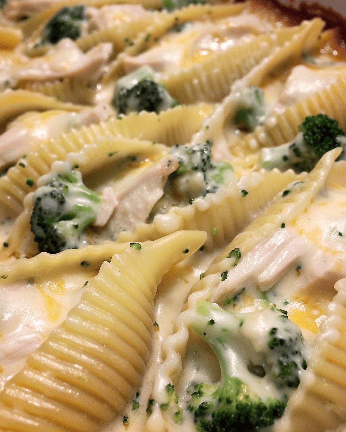 Cheesy Chicken and Broccoli Pasta Shells Recipe
