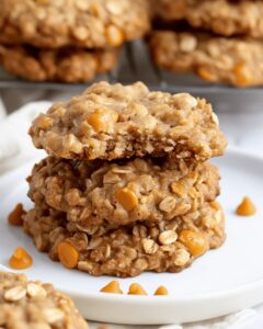 Best Oatmeal Scotchies Recipe
