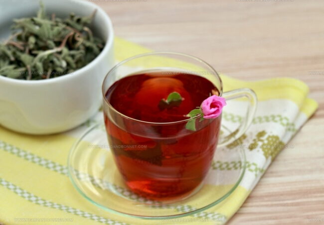 Is There a Difference Between Herbal Tea and Herbal Infusion?