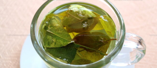 Coca Tea (Mate De Coca)