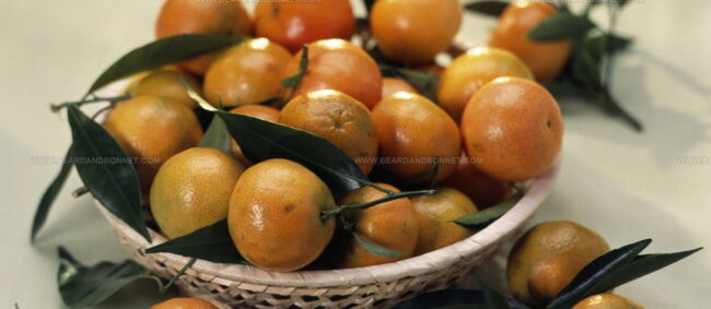 Clementine De Corse