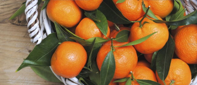 Clementine Del Golfo Di Taranto