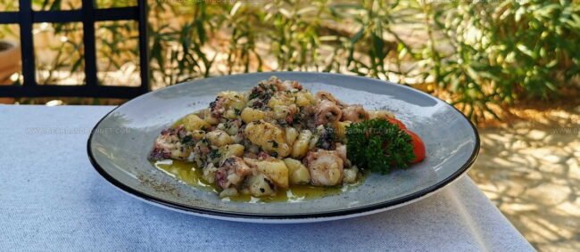 Hobotnica Na Novaljski