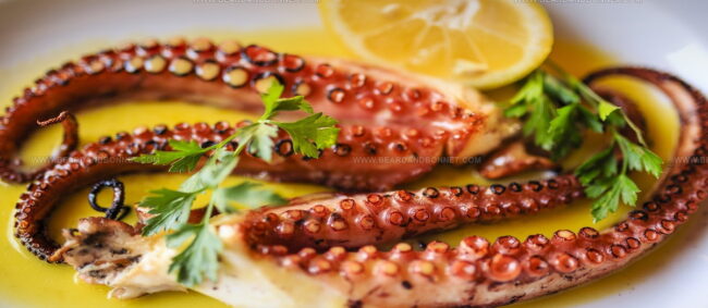 Grilled Octopus (Chtapodi Sti Schara)