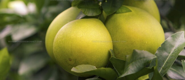 Pomelo De Corse